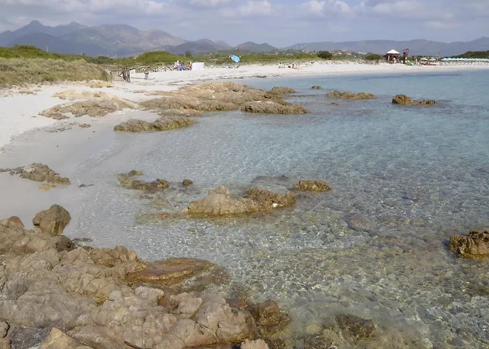 Apartment Comfortable Near Budoni